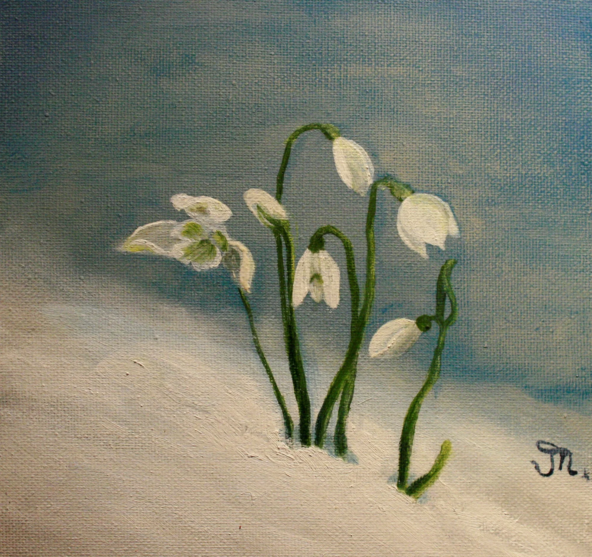Sneeuwklokjes in de sneeuw — schilderij van Jeanne Thijssen