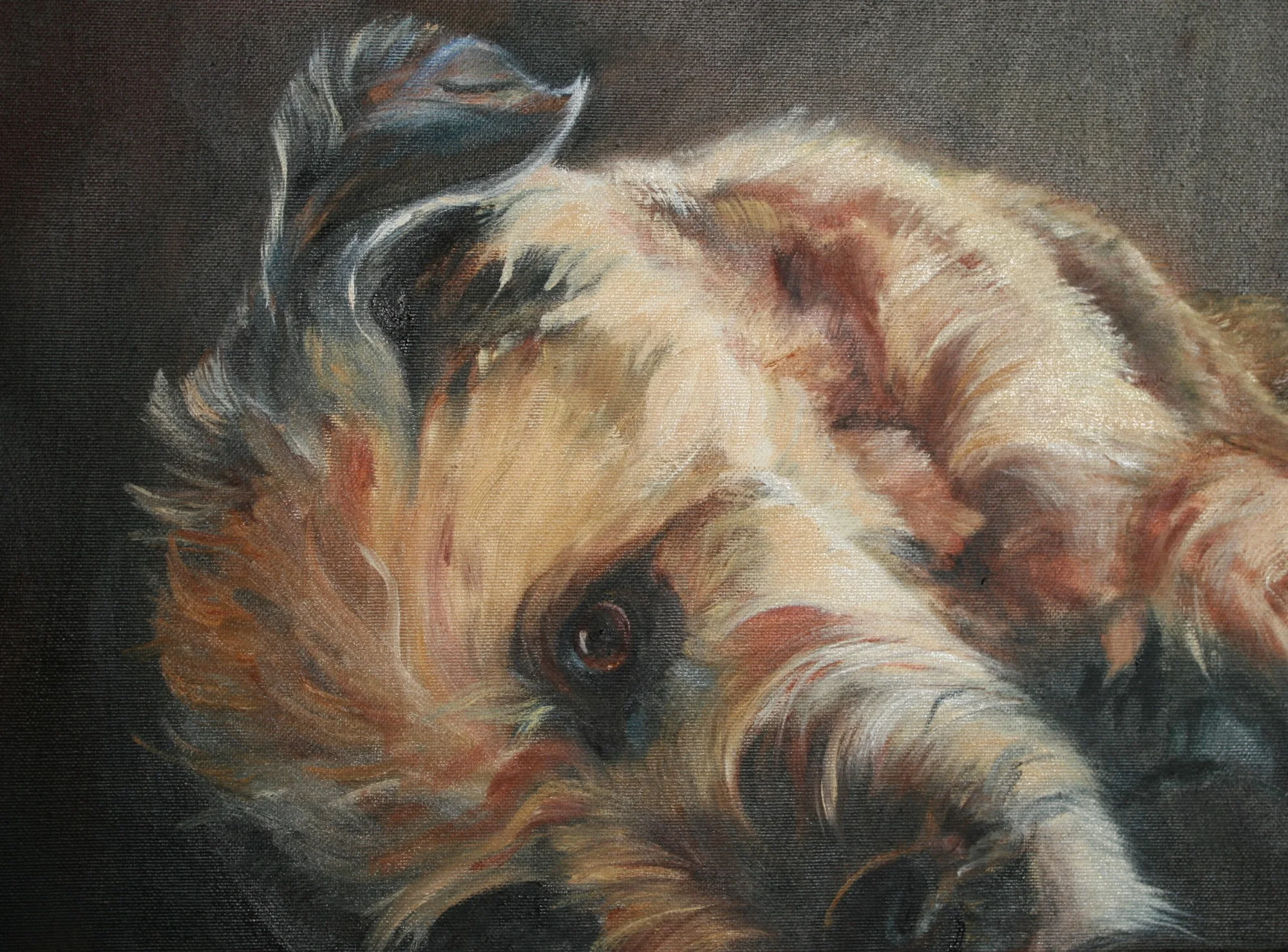 Balto — schilderij van Jeanne Thijssen