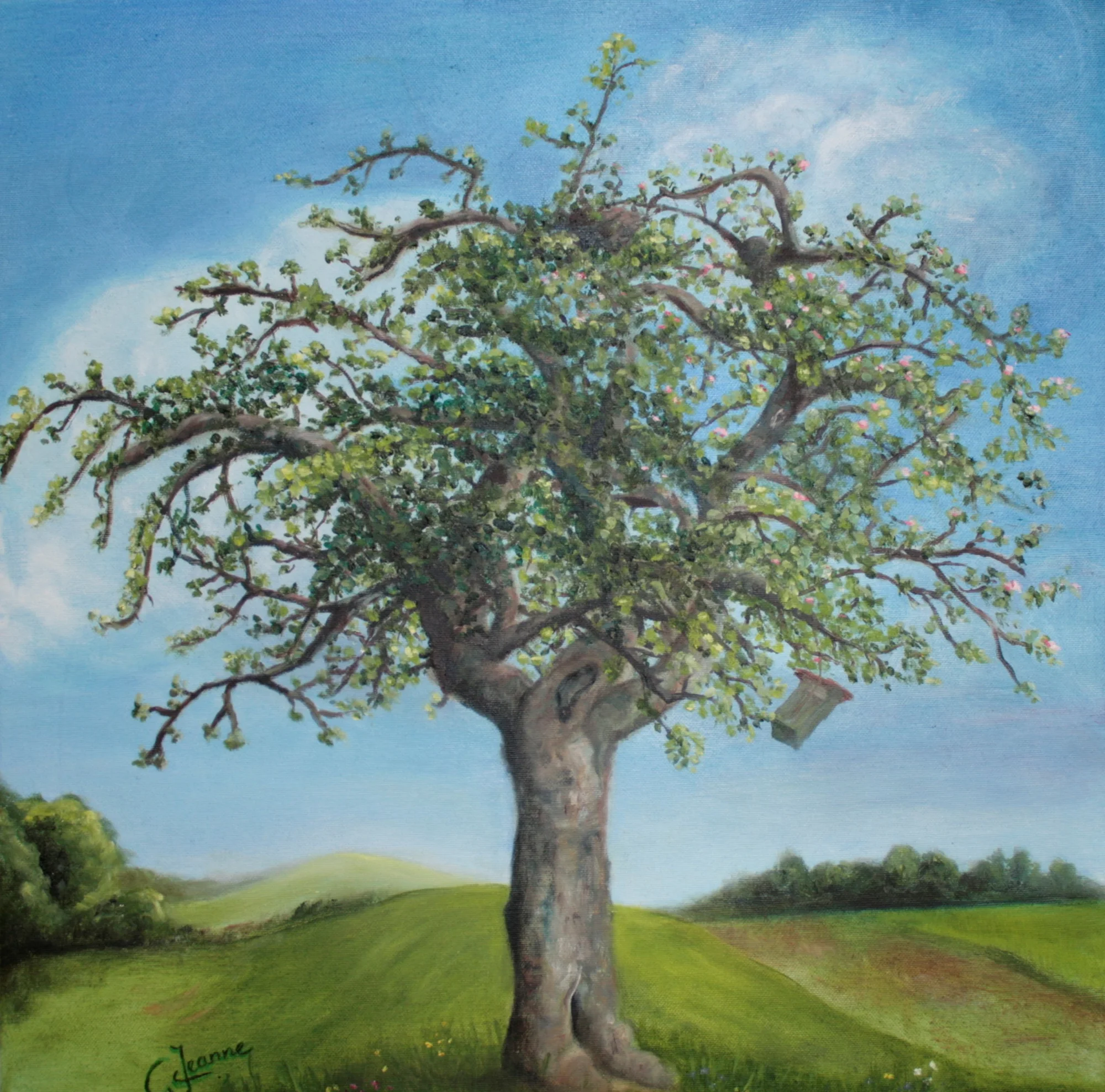 Duitsland, Appelboom in landschap Frankenau — schilderij van Jeanne Thijssen