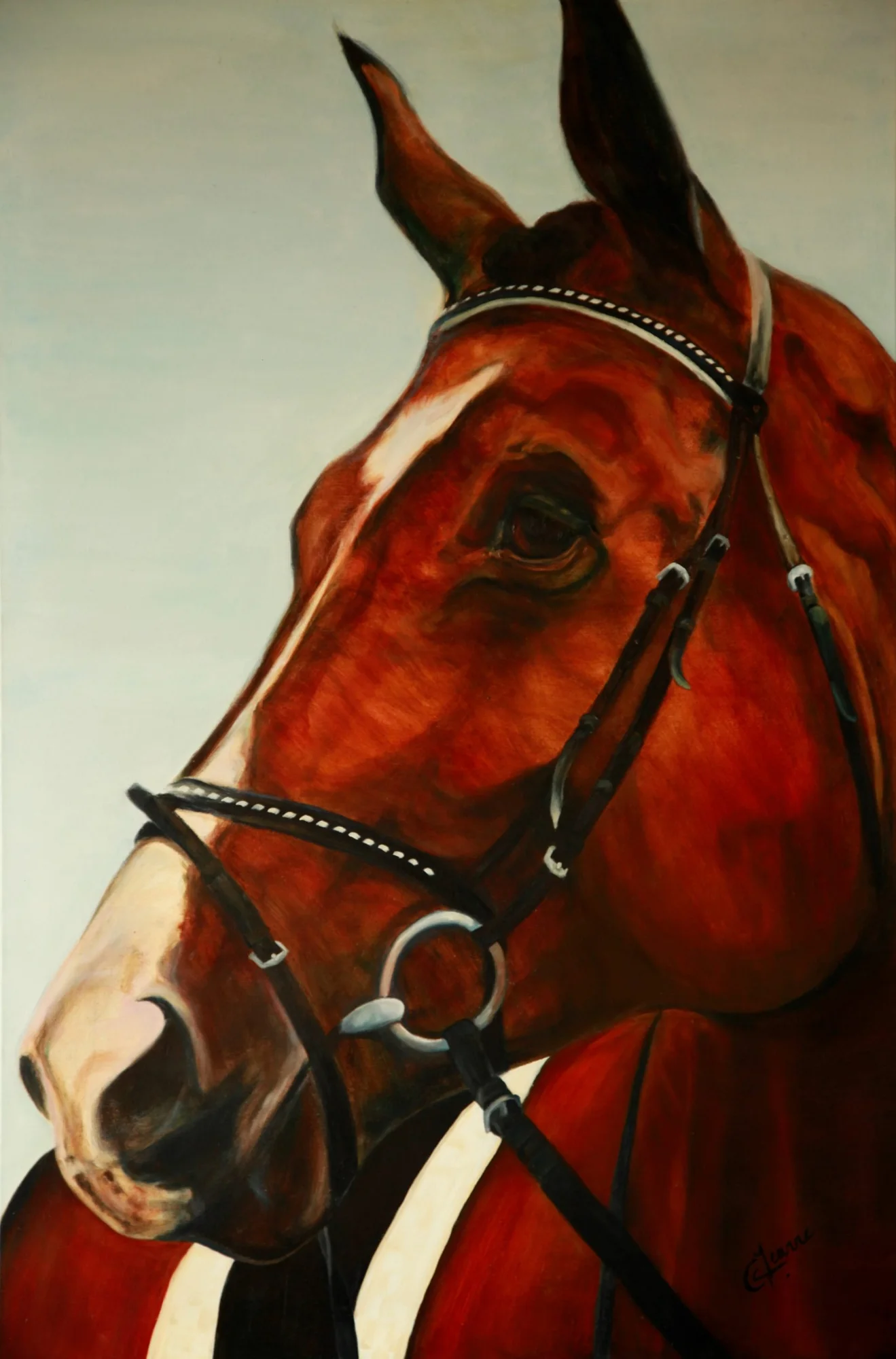 Timon (hoofd paard) — schilderij van Jeanne Thijssen